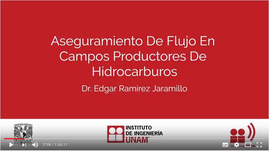 Video Aseguramiento de flujo en campos productores de hidrocarburos 