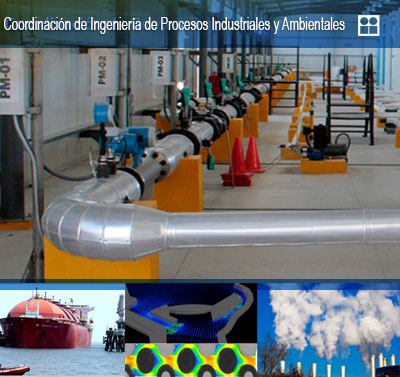 Coordinación de Ingeniería de Procesos Industriales y Ambientales 