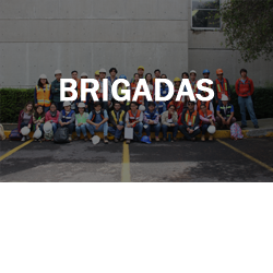 Brigadas 