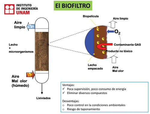 Esquema biofiltro