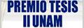 Icono tesi iiunam 2010