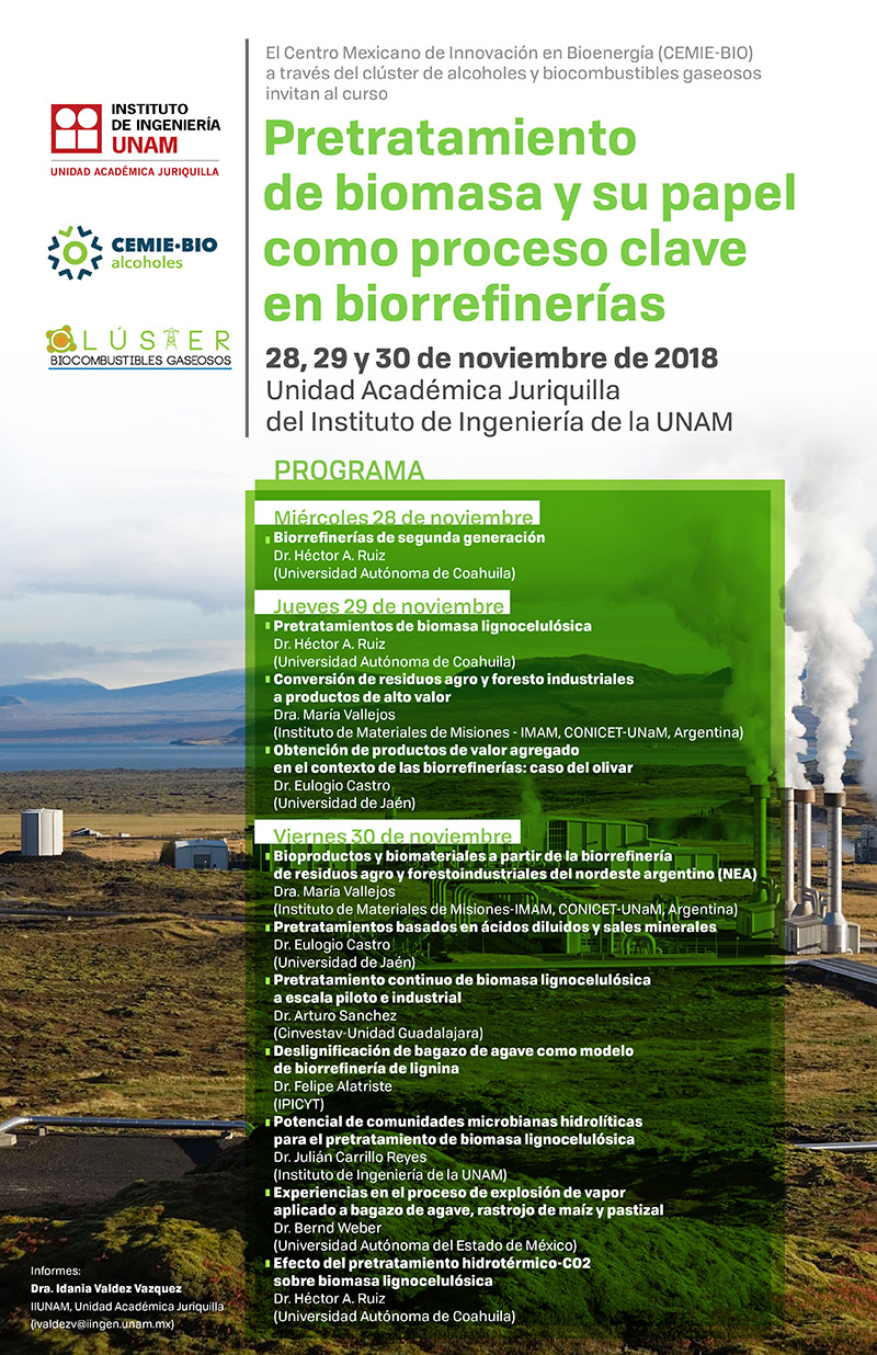 Pretratamiento de biomasa y su papel como proceso clave en biorrefinerías
